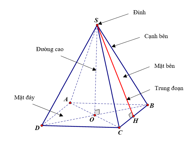 Cạnh Bên Của Hình Chóp Tứ Giác Đều: Đặc Điểm, Công Thức Và Ứng Dụng