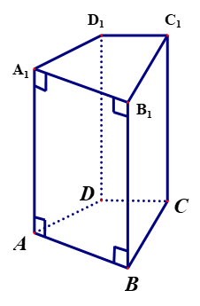 Cho hình lăng trụ đứng ABCDEF như hình vẽ có đáy là tam giác vuông biết  độ dài hai cạnh góc vuông là 6 cm và 8 cm chiều cao của lăng