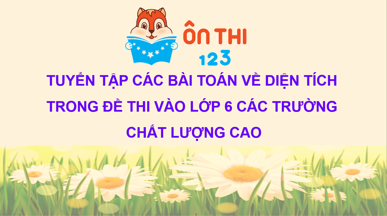 [TOÁN 5] TUYỂN TẬP CÁC BÀI TOÁN VỀ DIỆN TÍCH TRONG ĐỀ THI VÀO LỚP 6 CÁC ...