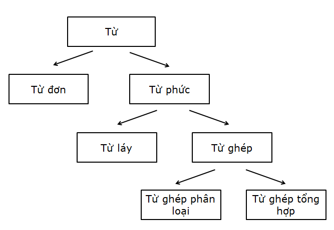 Từ ghép tổng hợp